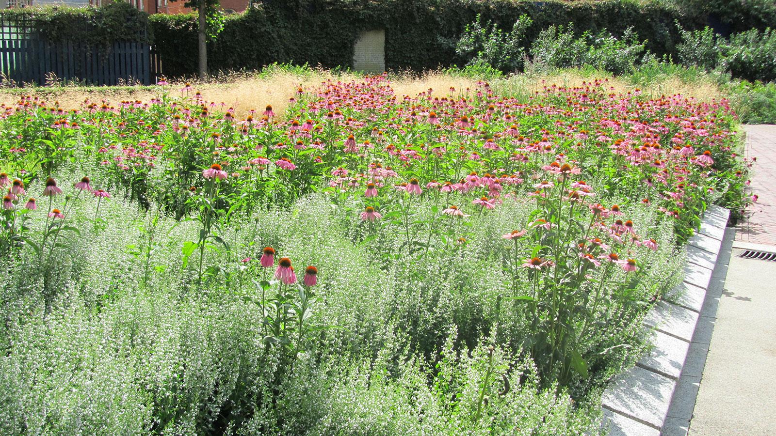 Gallery Potters Field Park Planting & Wildlife Potters Fields Park