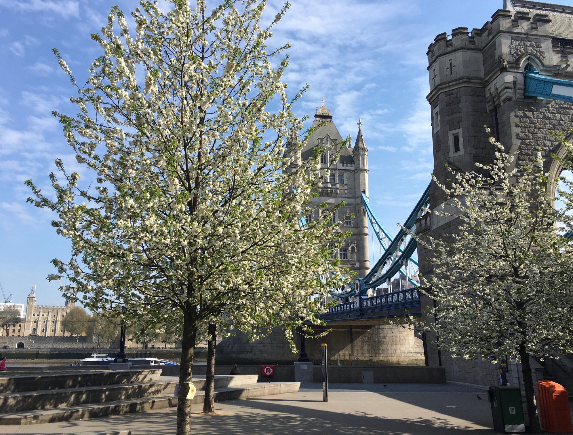 Gallery Potters Field Park General Photos Potters Fields Park